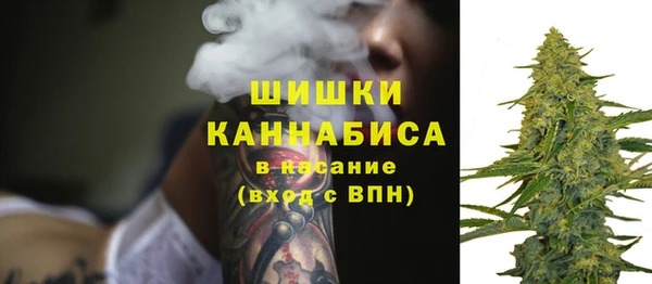 твердый Арсеньев