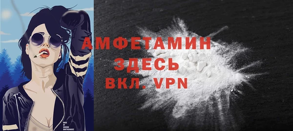 твердый Арсеньев